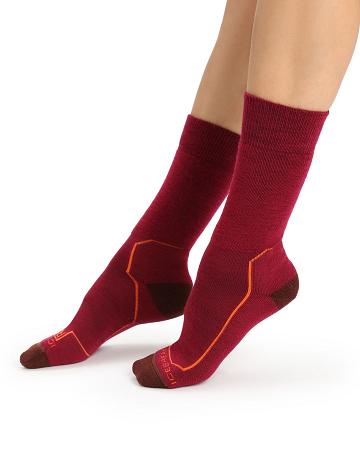 Cherry / Espresso Icebreaker Merino Hike+ Medium Crew Women's Socks | AU 1430HAPK